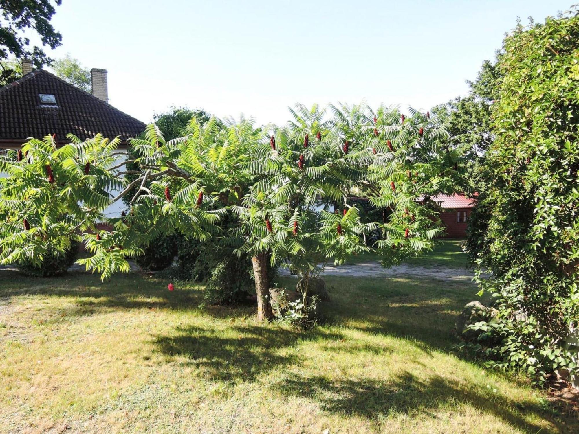 Bungalows, Lubin Lubin  Exterior foto